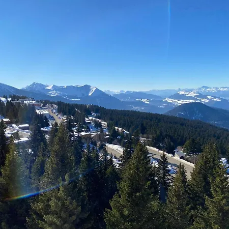 Les Balcons D'edelweiss Apartment Chamrousse