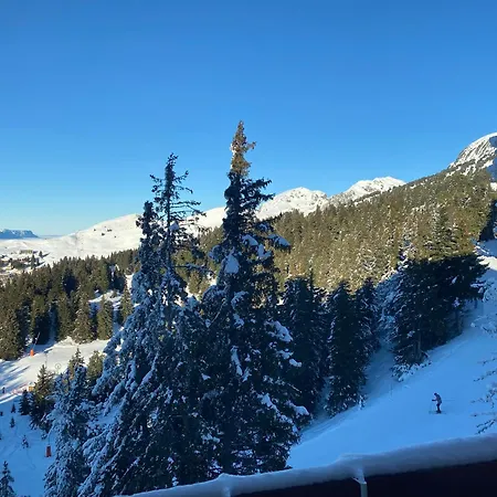Les Balcons D'edelweiss * Chamrousse